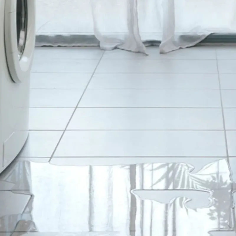 Appliance Leak Cleanup in Rancho Santa Fe, CA