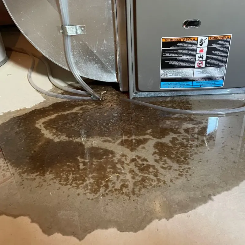 Pipe Burst and Leak Restoration in Rancho Santa Fe, CA