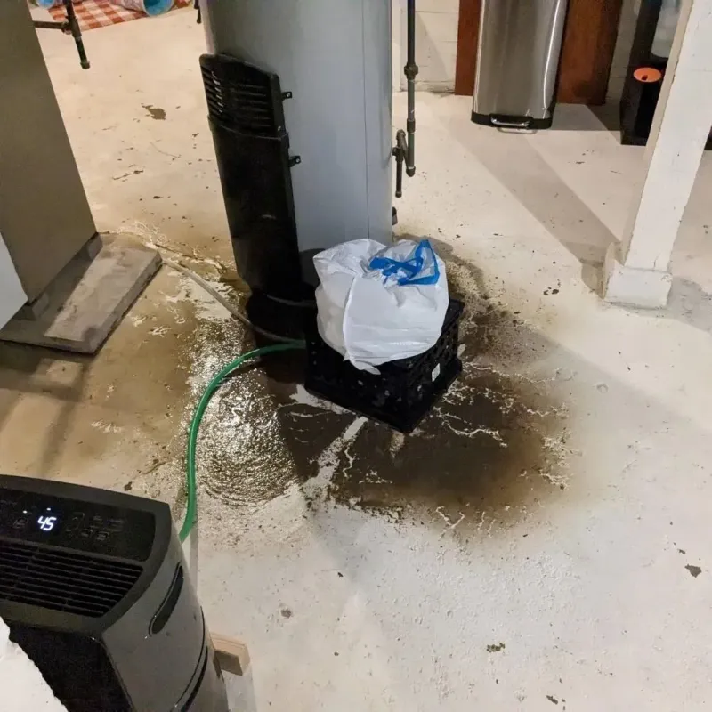 Sewage Backup Cleanup Service in Rancho Santa Fe, CA